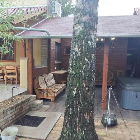 Holiday home Halasz Vendeghaz Jakuzzival Tiszakecske